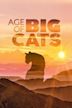 Age of Big Cats