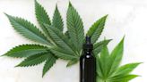 Nearly 3% of healthy adolescents use commercial CBD products, study finds