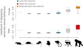 【獸誌揭秘】野生動物也懂「只做愛、不作戰」 ? 世界上至少1500種動物具有同性行為