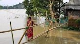 Committee formed to expedite flood mitigation plan in Bihar