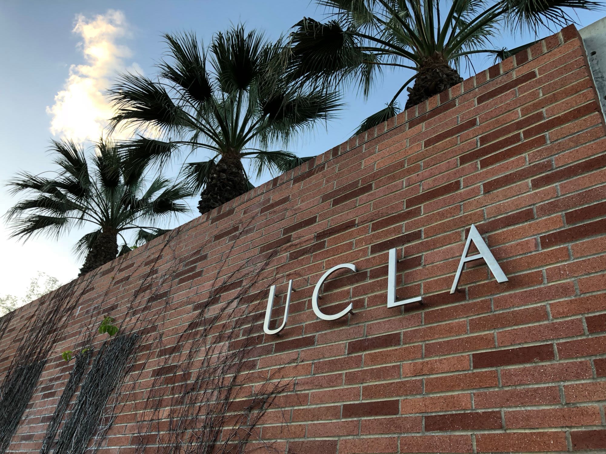 Violent Protests Erupt On UCLA Campus - Canyon News
