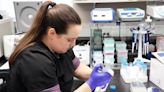 Fargo research center uses DNA testing to monitor bee disease