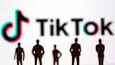 TikTok says cyberattack targeted brands and celebrity accounts, including CNN - BusinessWorld Online