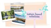 Natural solution: why nature is our best water manager
