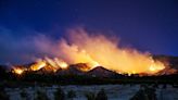 U.S. invests in AI to help fight wildfires