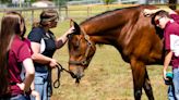 The only one of its kind in Florida: Equine Science program at North Marion H.S.