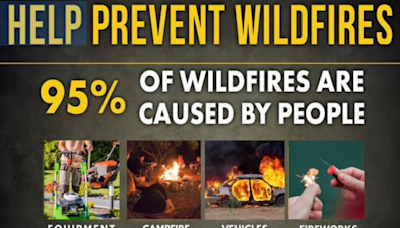 Four tips to prevent a wildfire during a heatwave, one less spark one less wildfire