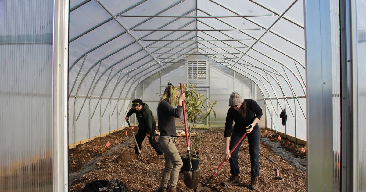 An experimental orchard aims to help Philly's urban farms adapt to climate change