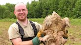 No, there is no human-eating snapping turtle in Indiana.