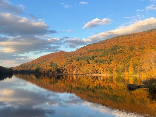 Interactive Map Reveals the Best Time to Experience Fall Foliage Across the US