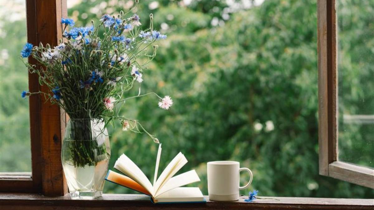 12 Must-Read Books About Books: From Historical Fiction to Romance and More!