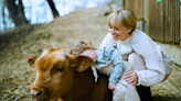 This Colorado company is hiring an intern to cuddle with cows