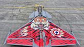 法國飆風戰機「虎形塗裝」 參加北約老虎會