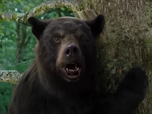 C'est le film le plus barré du moment sur Netflix, Crazy Bear pourrait avoir une suite