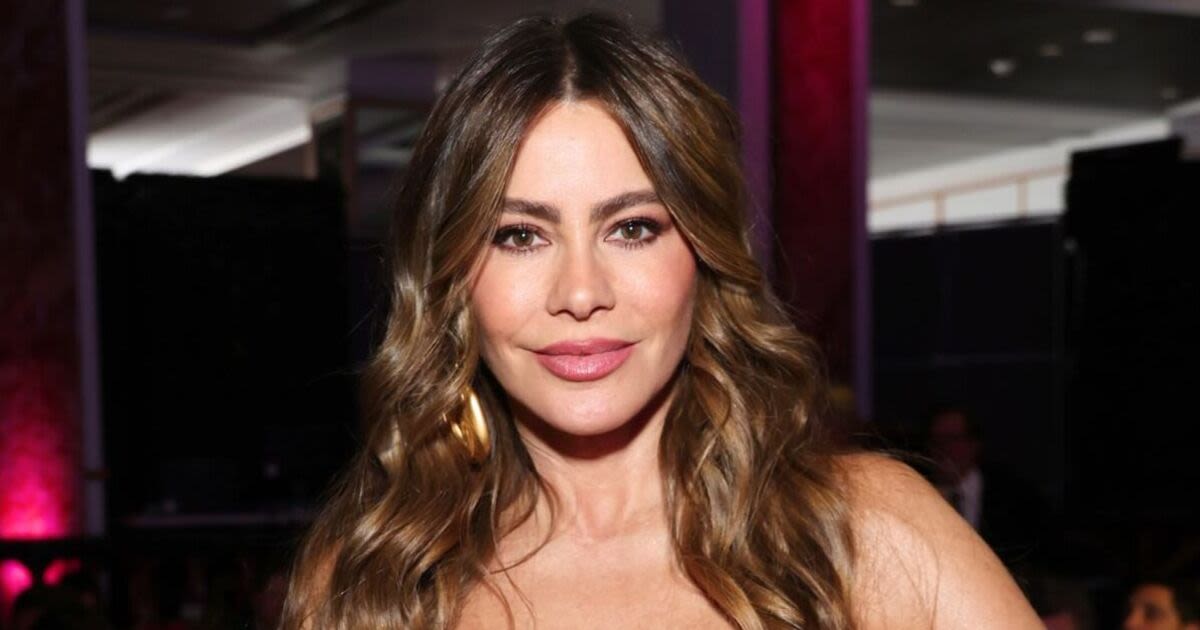 Sofia Vergara can't wait for milestone after sharing deal breaker for marriage