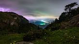 Grandfather Mountain to hold first-ever public viewings of Synchronous Fireflies