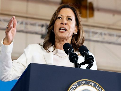 Harris-Trump live: Vance attacks Walz over military service record as Harris hits back at rally protesters