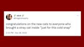 23 Of The Funniest Tweets About Cats And Dogs This Week (Dec. 24-30)