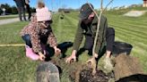 Education Notebook: Tree planting effort grows in Southwest Allen County Schools