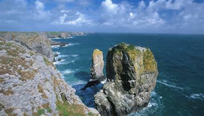 Ponti di primavera: lungo il selvaggio Pembrokeshire Coast Path, in Galles