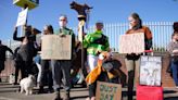 ‘We’re animal lovers’: Animal Rising protesters gather outside Grand National ahead of planned disruption