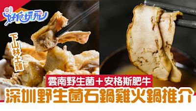 深圳美食｜網紅毒菇「見手青」滑嫩多汁 必點野生菌石鍋雞火鍋