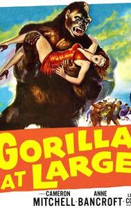 Gorilla at Large