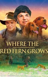 Where the Red Fern Grows