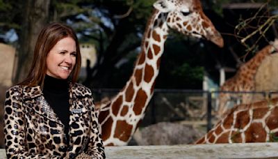 San Francisco Zoo director slapped with harsh allegations