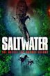 Saltwater: The Battle for Ramree Island