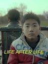 Life After Life