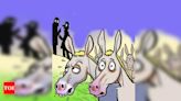 Man injured by stray donkey: Navsari officials exonerated | - Times of India