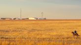 CROP & WEATHER REPORT: Rangeland conditions vary across state