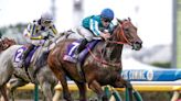 Hong Kong's Romantic Warrior Gives 'Supreme Effort' For 'Win & You're In' Yasuda Kinen Victory