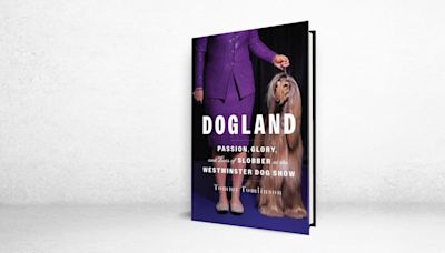 ‘Dogland’ Review: The Battle of Beauty and Breed