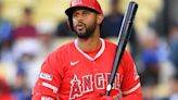 'Time to move on': Angels DFA veteran OF Hicks