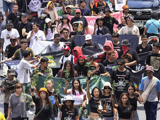 Cannabis advocates in Thailand protest a proposal to ban again its general use