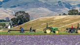 A California Democrat proposes raising the minimum age for child farmworkers. Can it pass?