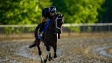 Catching Freedom shows why it was an ‘easy decision’ to enter him in the Preakness - WTOP News