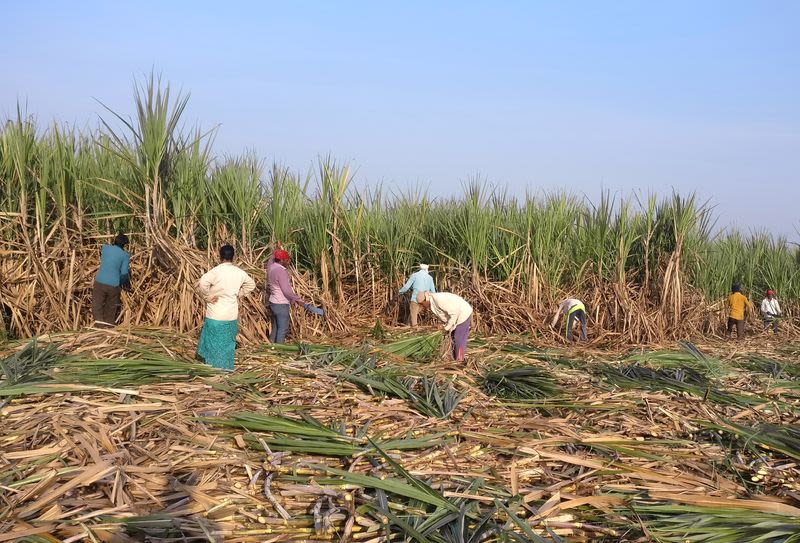 India to extend sugar export ban to boost local supplies, ethanol output, sources say