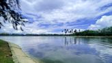 ¡No es Central Park! Es el lago del parque Tangamanga tras las lluvias en SLP