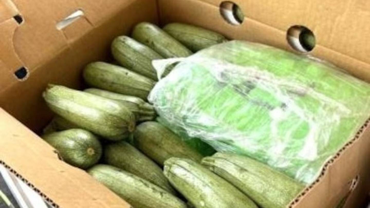1,400 packages of meth weighing almost 6 tons and worth over $18 million found in squash shipment