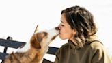 Mascotas: Estas son las enfermedades que transmiten los perros con su saliva, ¿lo sabías?