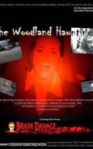 The Woodland Haunting 2