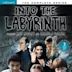 Into the Labyrinth