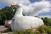 Big Duck