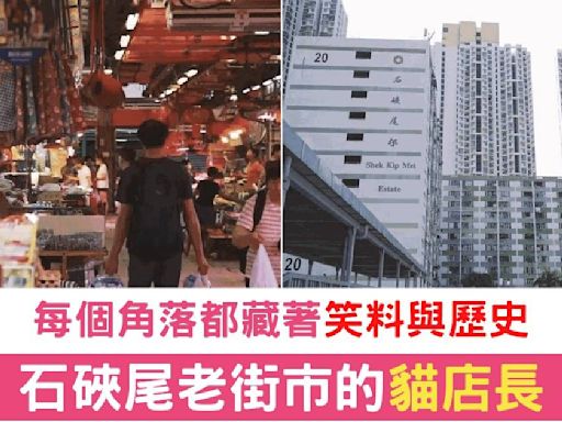 香港石硤尾邨舊式茶行貓店長引爆網絡 網民紛紛慕名而來探尋這個充滿歷史情懷地方