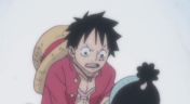 25. A Vow Between Two Men! Luffy and Kozuki Momonosuke