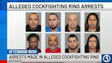 8 arrested in alleged cockfighting ring in Waterbury