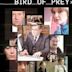 Bird of Prey (TV serial)